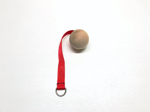 Strapped Globe