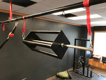 Load image into Gallery viewer, Revolving Ladder